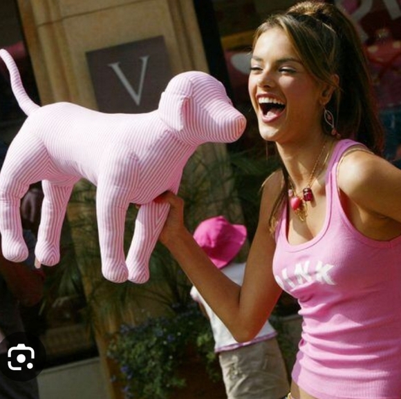 ISO Medium/Large VS PINK plush display dogs NFS - Picture 4 of 6